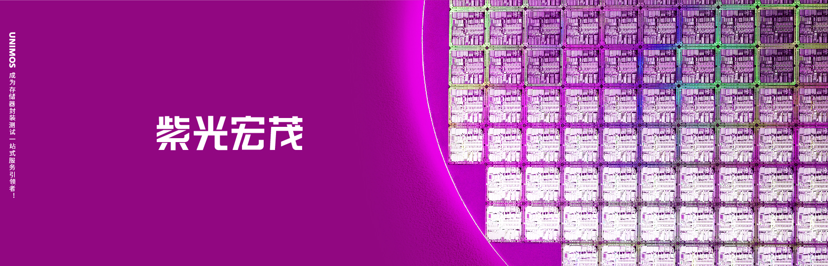 紫光宏茂(图2)