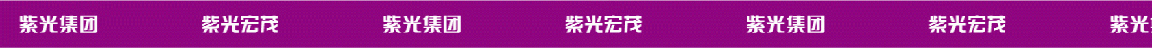 紫光宏茂(图5)